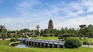 2026世界杯官网 广汉城市绿化带植物叫什么