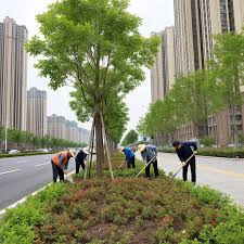 2026世界杯官网 定州市政绿化资料要做哪些